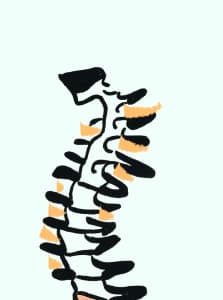 Chiropractors