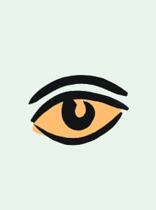 Eye Doctor